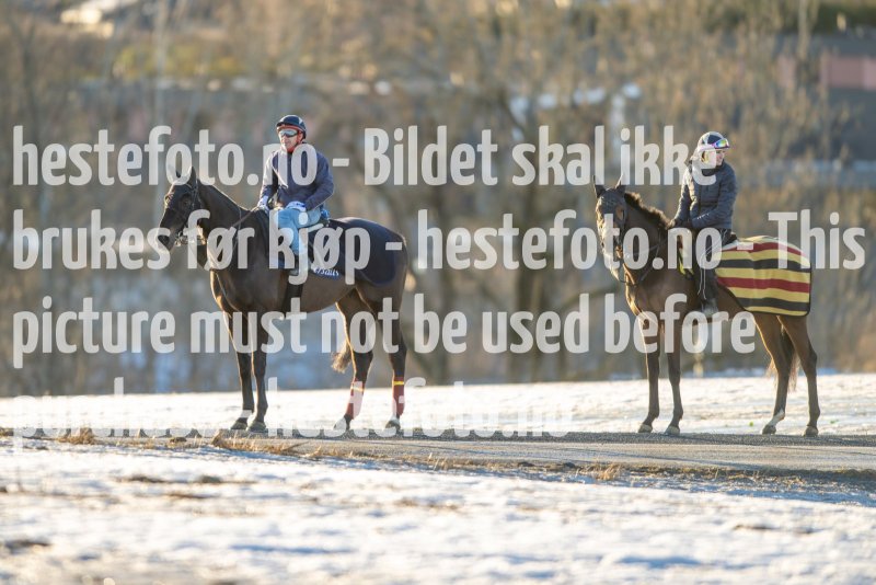 20230218-102050-DSC_8500