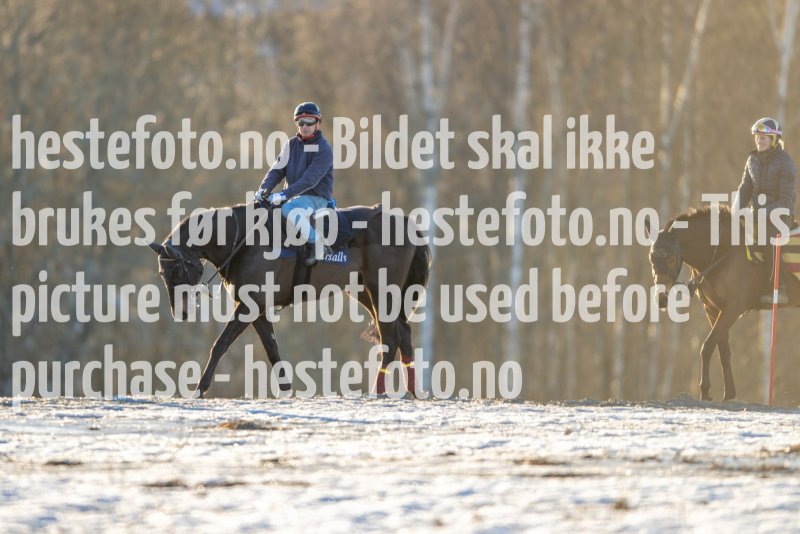 20230218-102107-DSC_8567