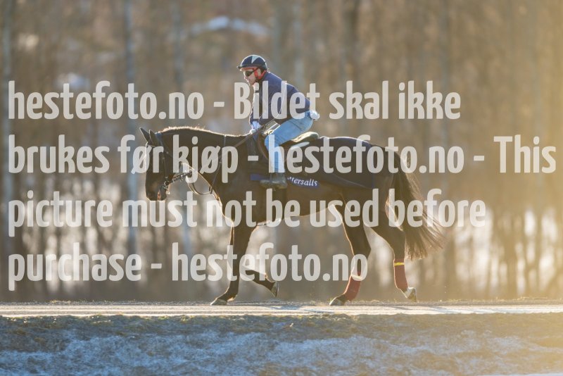 20230218-102119-DSC_8613