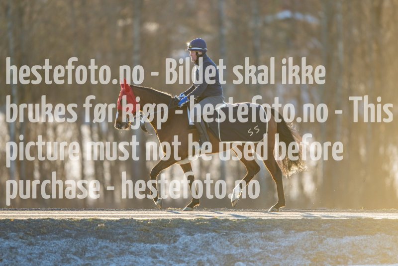 20230218-102125-DSC_8647