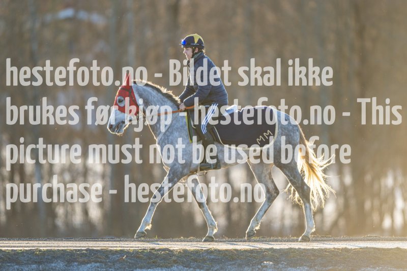 20230218-102128-DSC_8670