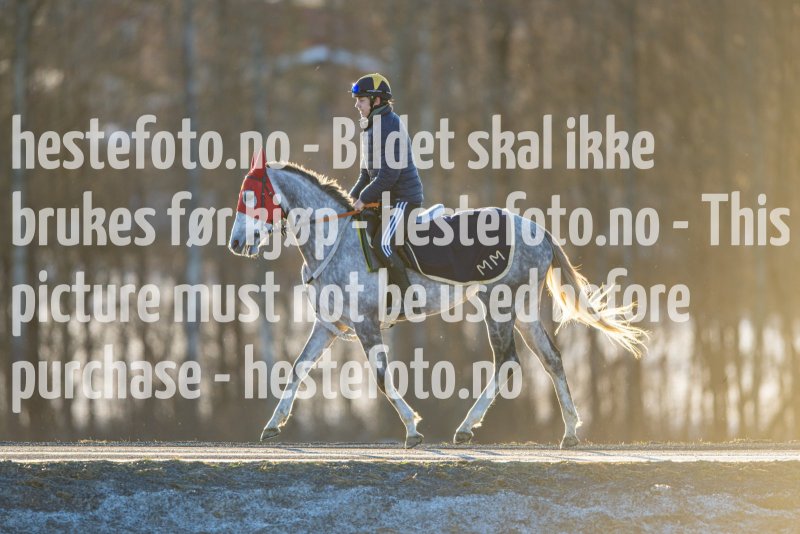 20230218-102129-DSC_8677