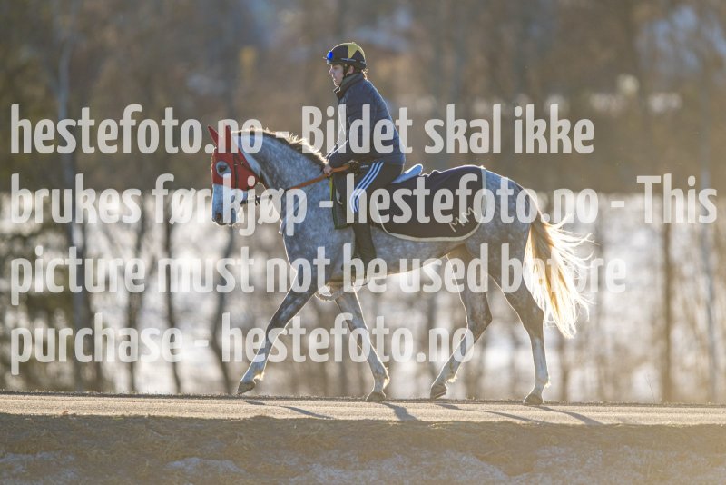 20230218-102132-DSC_8691