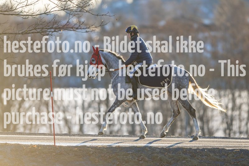 20230218-102138-DSC_8727