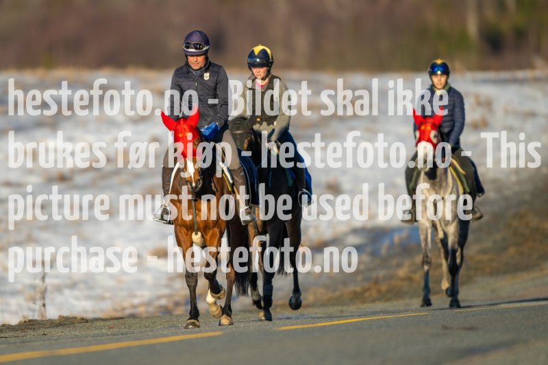20230218-102801-DSC_8952
