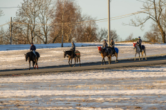 20230218-101931-DSC_8306
