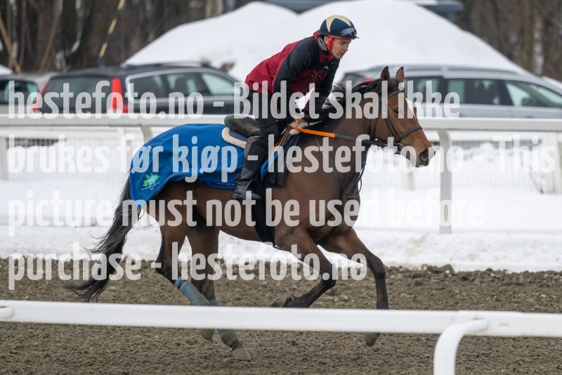 20230318-105013-DSC_0340