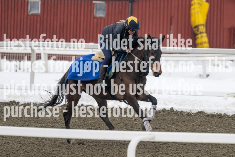 20230318-105020-DSC_0368