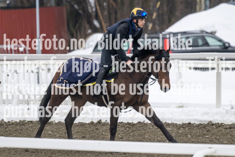 20230318-105141-DSC_0406
