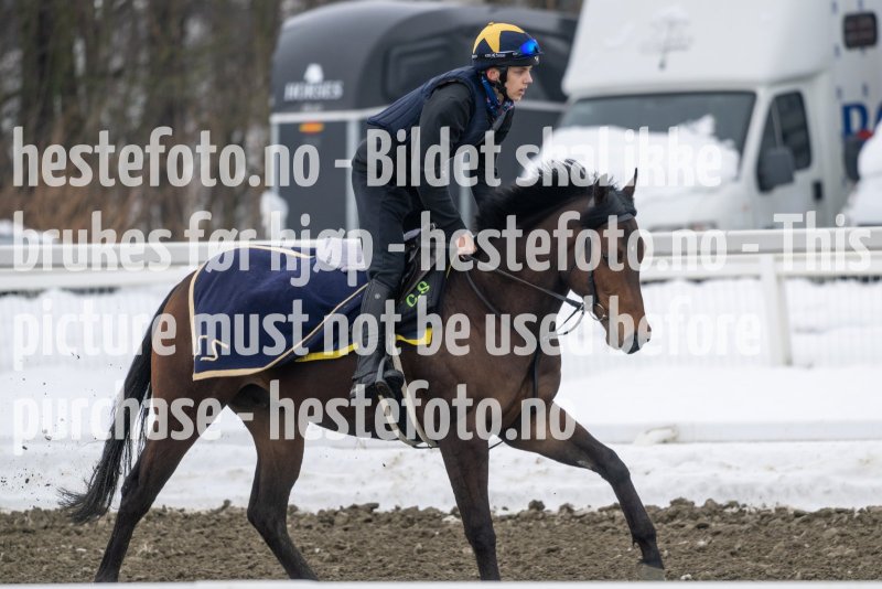 20230318-105142-DSC_0421