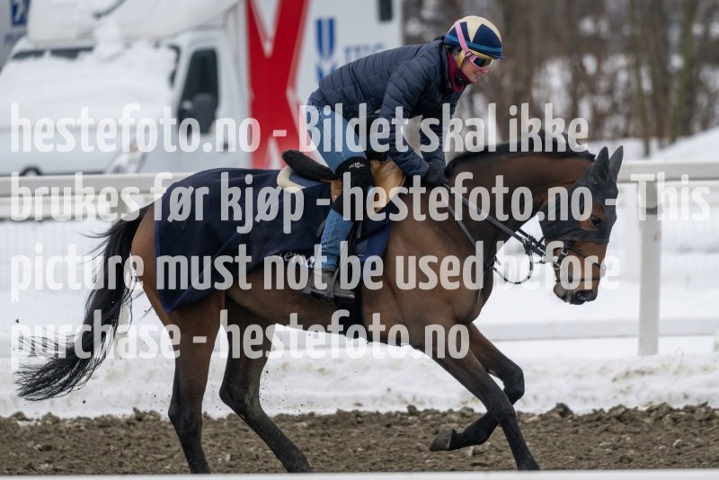 20230318-105144-DSC_0440