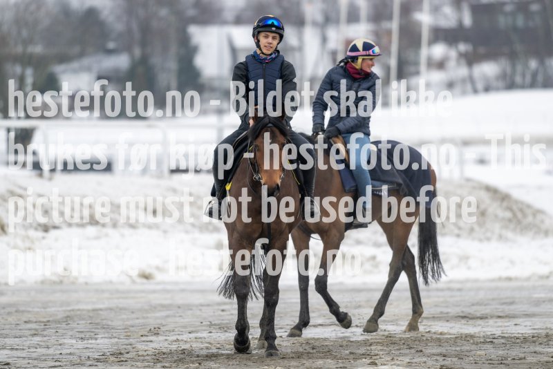 20230318-105609-DSC_0557