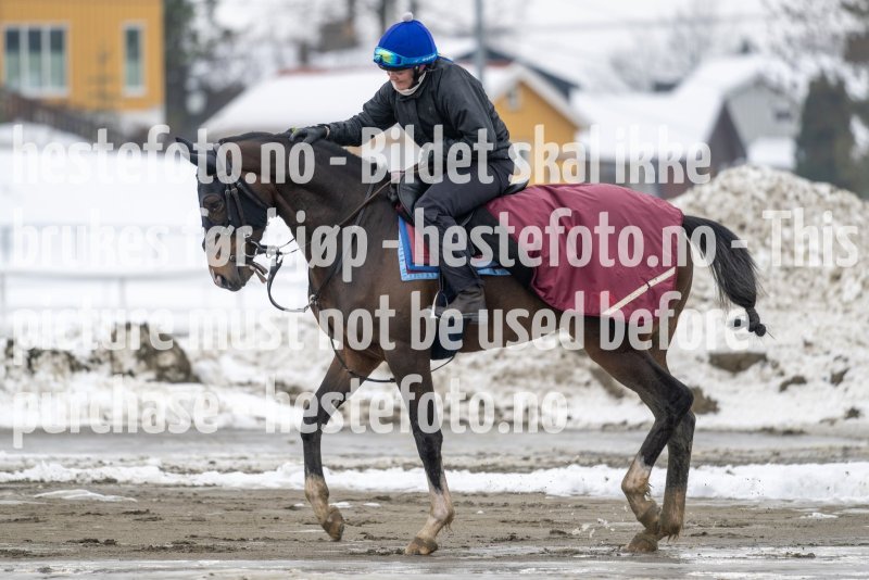 20230318-105708-DSC_0591