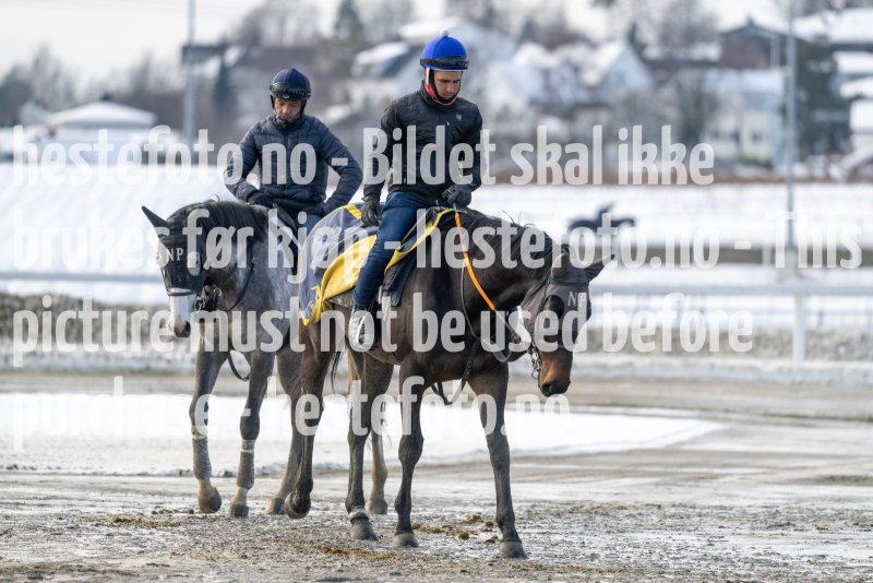 20230318-115638-DSC_1122