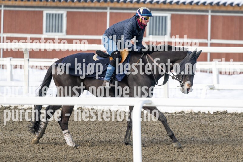 20230318-115728-DSC_1197
