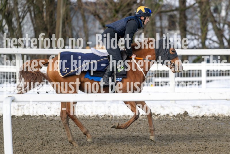 20230318-115913-DSC_1281