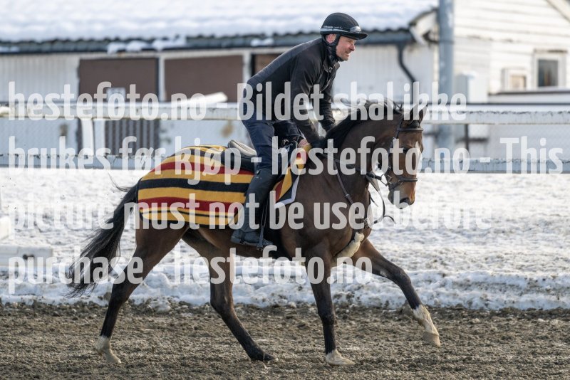 20230318-120015-DSC_1309