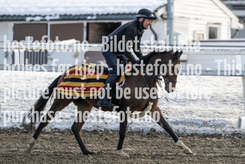 20230318-120015-DSC_1310