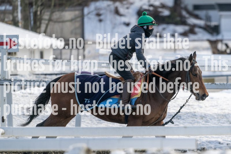 20230318-120018-DSC_1346