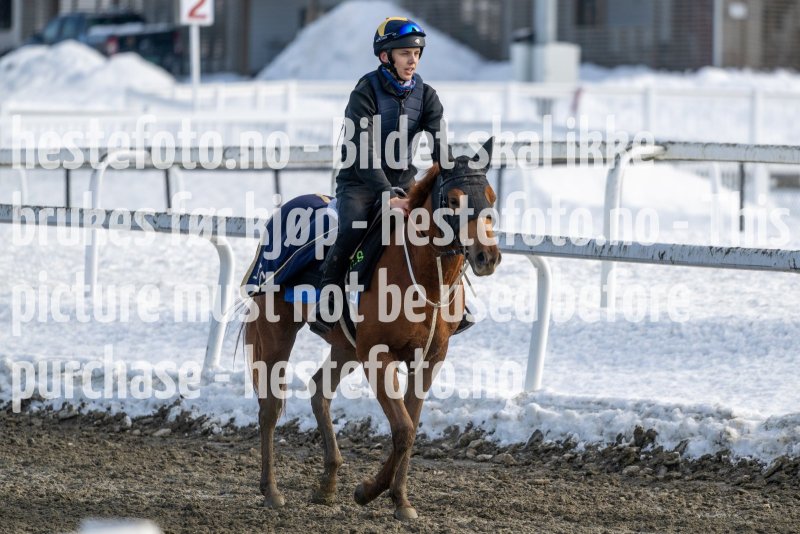 20230318-120110-DSC_1451