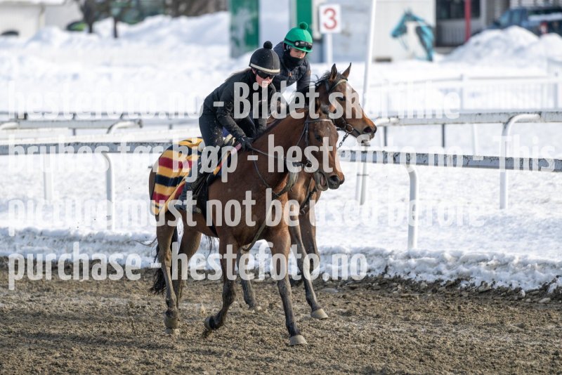 20230318-120327-DSC_1716