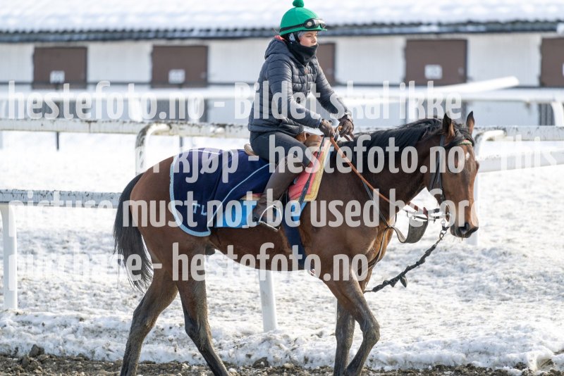 20230318-120336-DSC_1760