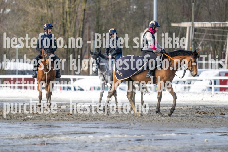 20230318-120455-DSC_1851