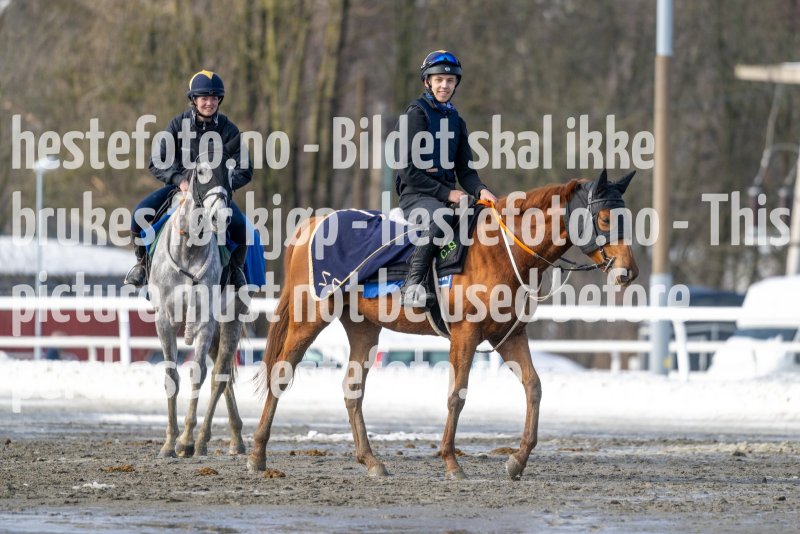 20230318-120458-DSC_1861