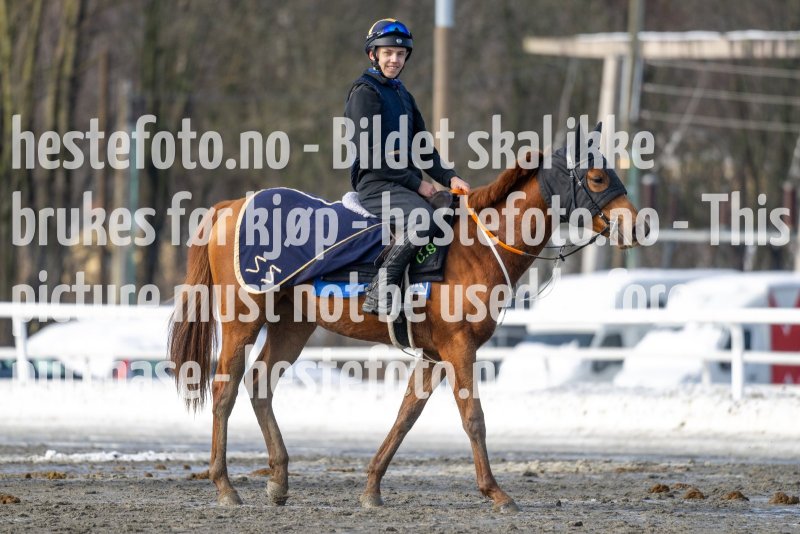 20230318-120459-DSC_1869