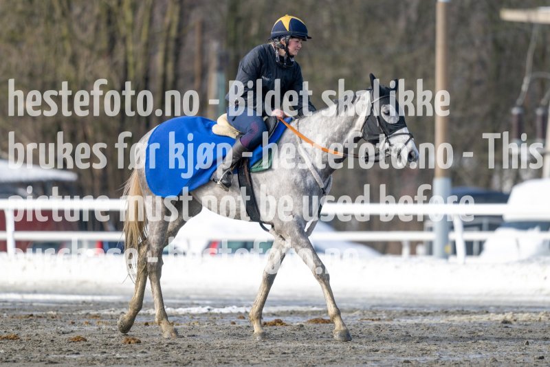 20230318-120502-DSC_1876