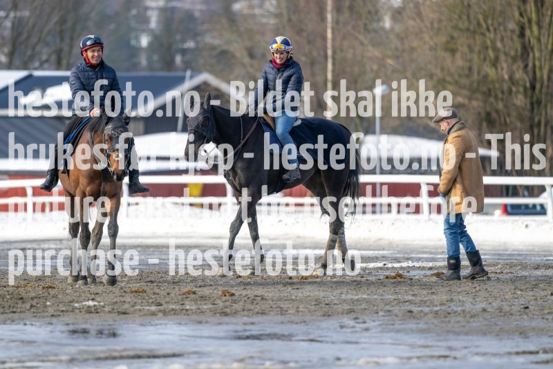 20230318-120513-DSC_1896