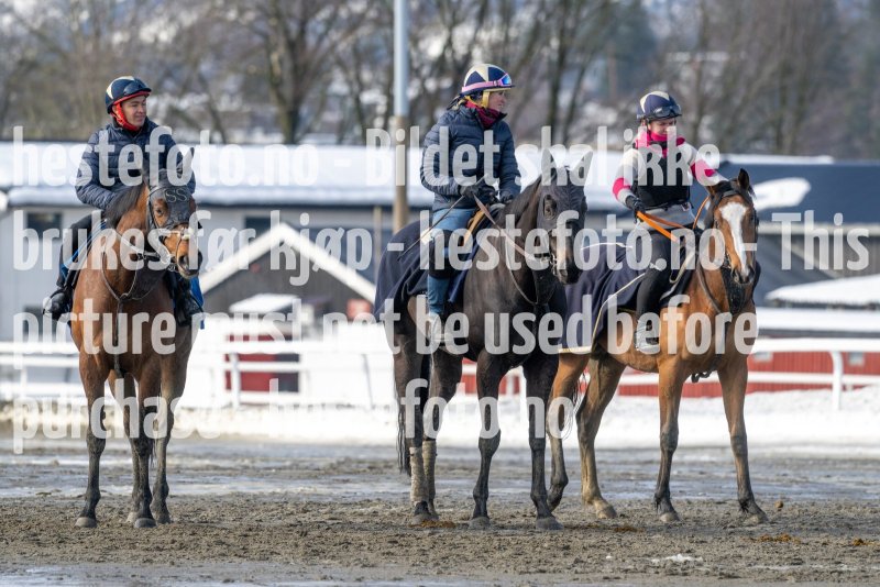 20230318-120558-DSC_1976
