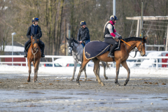 20230318-120455-DSC_1851