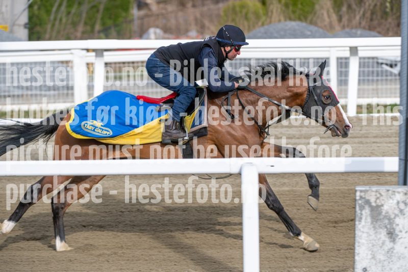 20260418-091847-DSC_4672