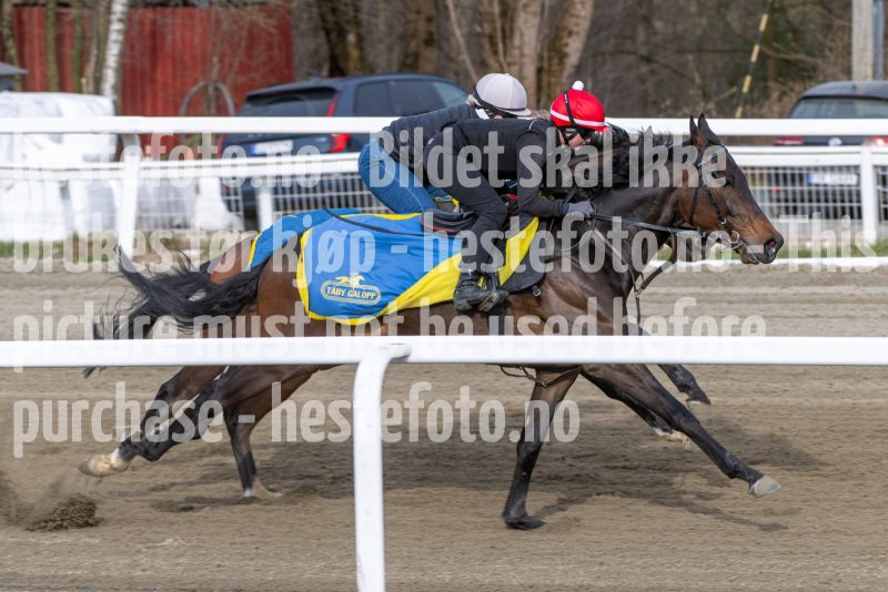 20260418-091950-DSC_4795