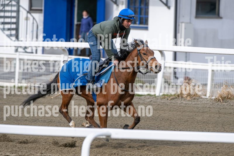 20260418-101716-DSC_5602