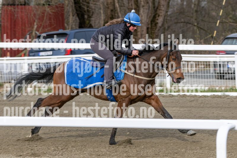 20260418-101718-DSC_5634