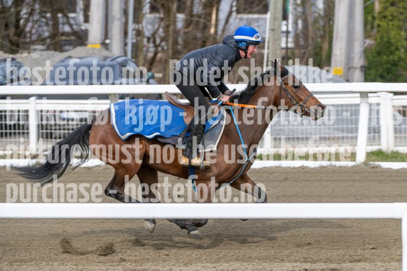 20260418-101719-DSC_5651