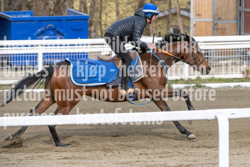 20260418-101720-DSC_5663