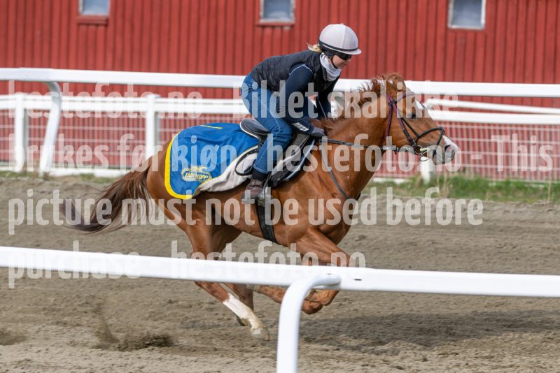 20260418-102430-DSC_6041
