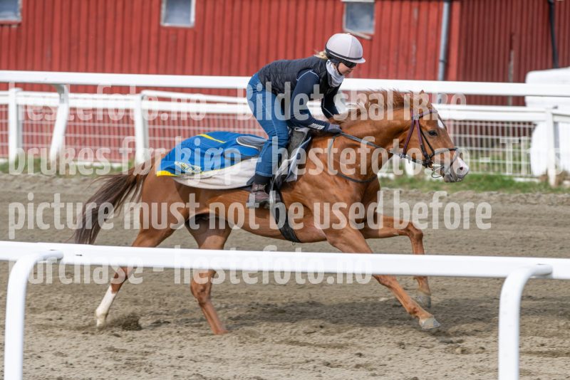 20260418-102430-DSC_6044