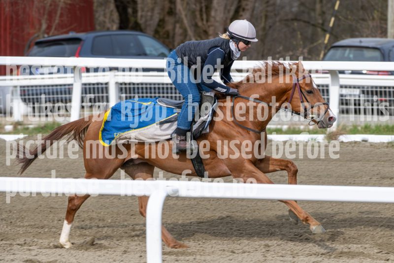 20260418-102430-DSC_6052