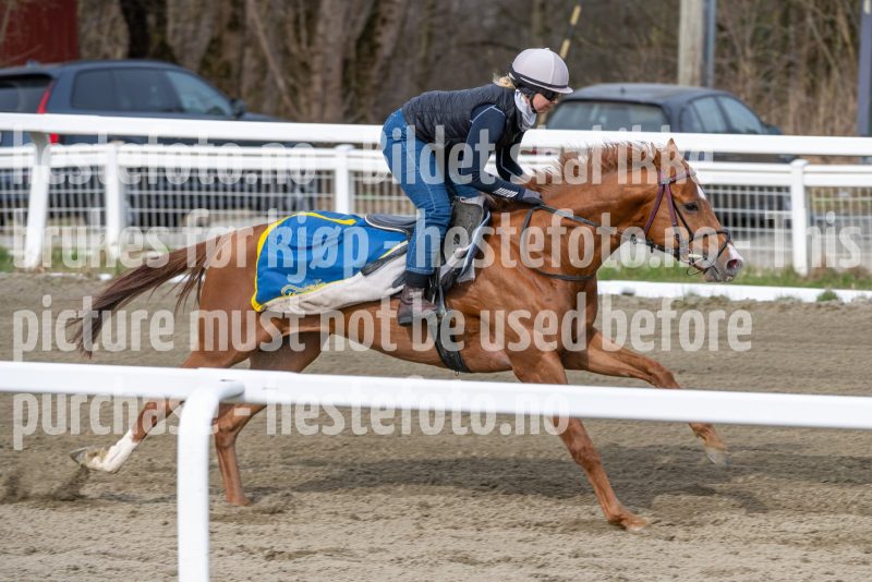 20260418-102430-DSC_6053