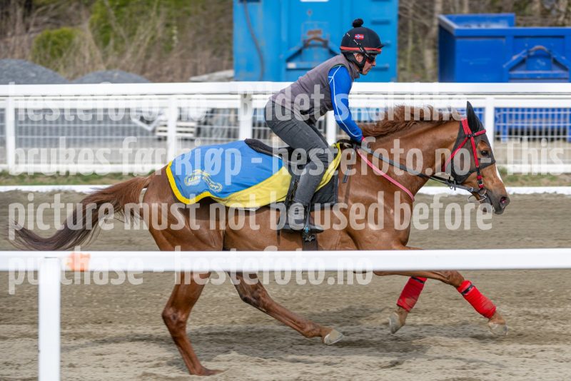 20260418-102443-DSC_6109