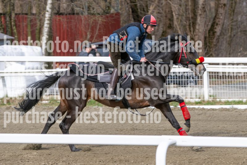 20260418-102523-DSC_6168