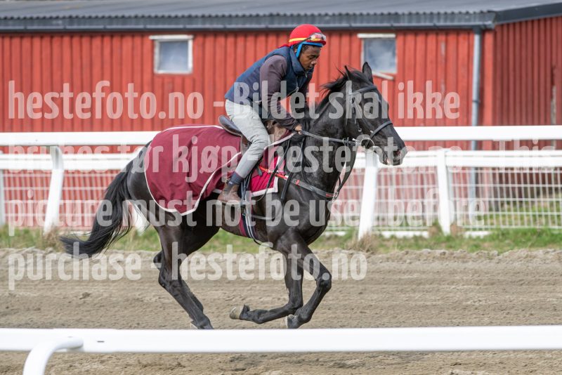 20260418-104000-DSC_6328