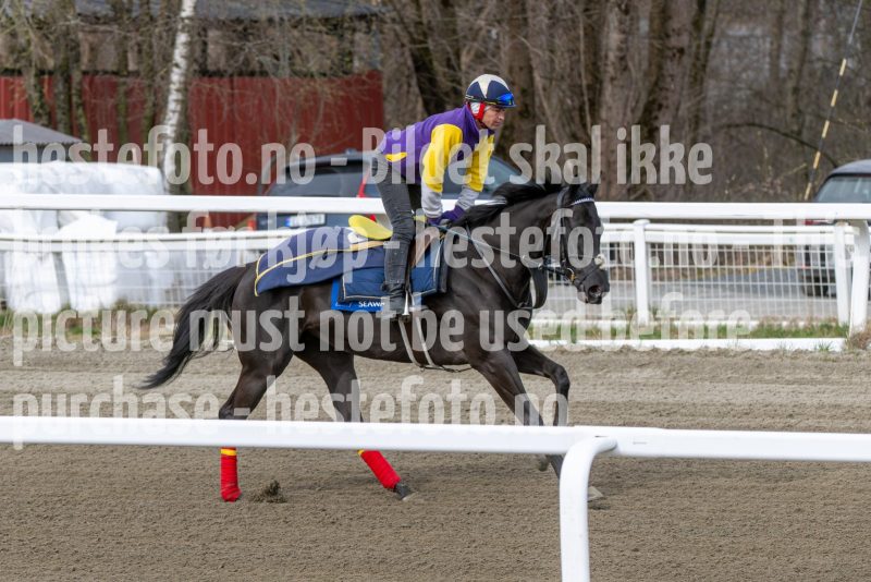 20260418-111518-DSC_6592