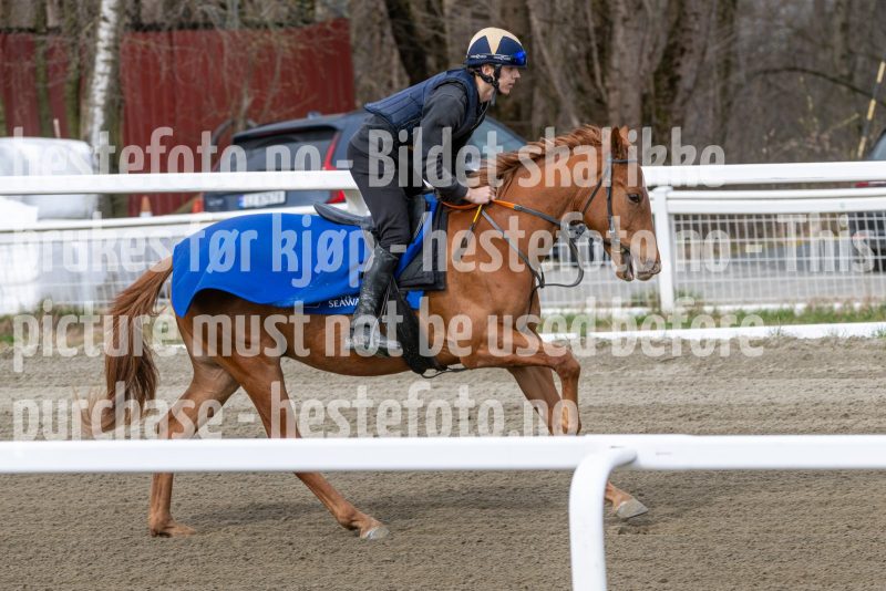 20260418-111520-DSC_6605