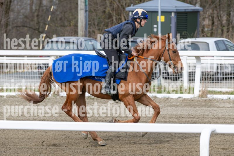 20260418-111520-DSC_6613