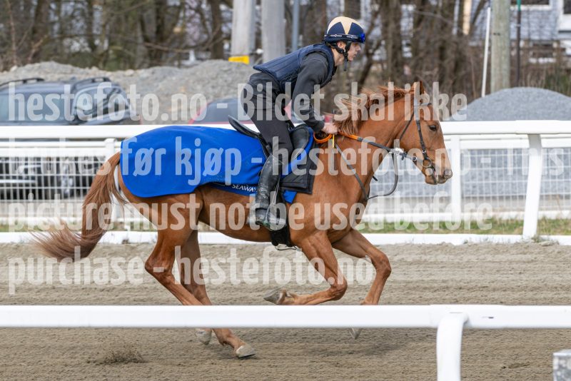 20260418-111521-DSC_6617